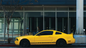 เข้าร่วมการปฏิวัติมัสแตง